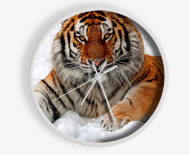 Tiger In Snow Clock - Wallart-Direct UK