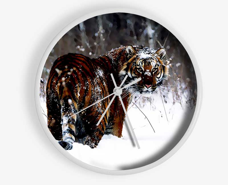 Tiger In The Snow Clock - Wallart-Direct UK