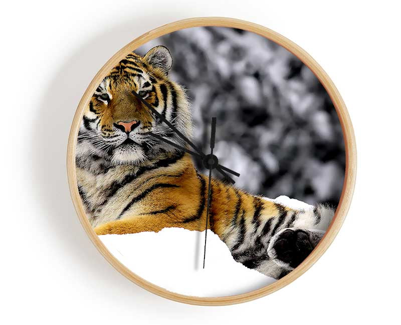 Tiger In Winter Clock - Wallart-Direct UK