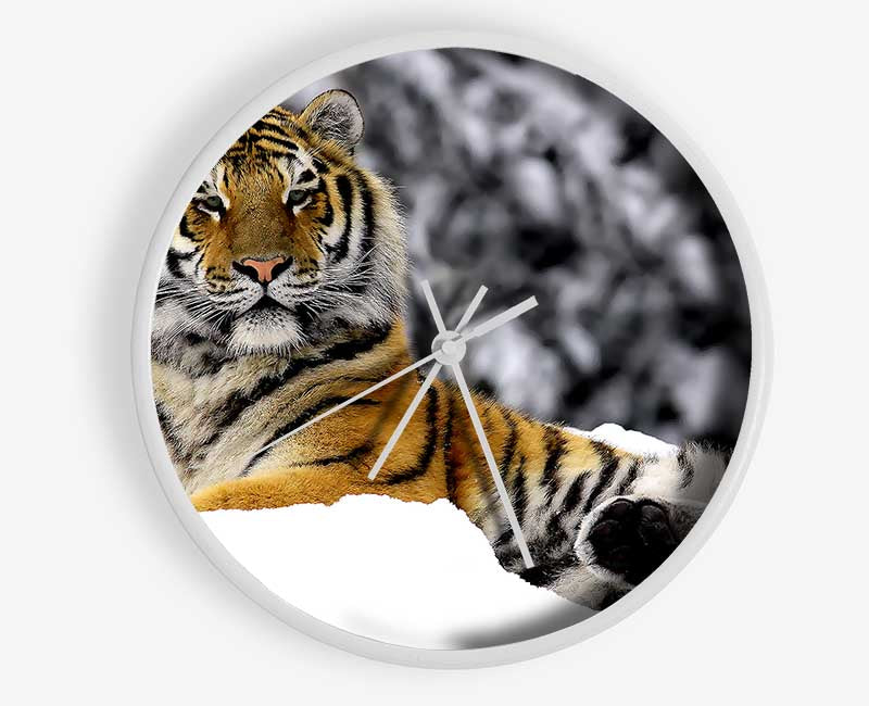 Tiger In Winter Clock - Wallart-Direct UK