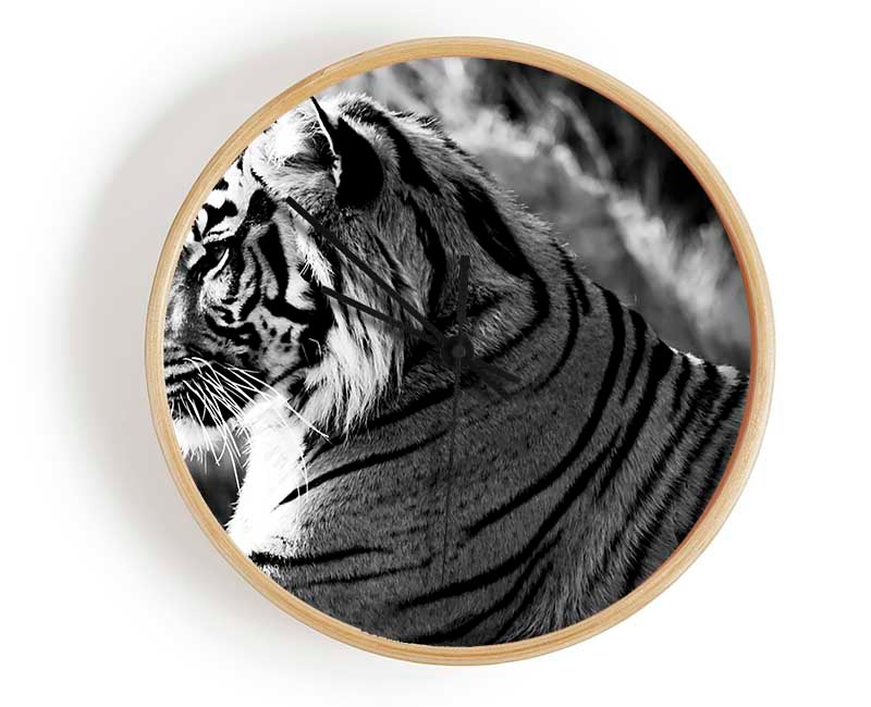 Tiger Resting Clock - Wallart-Direct UK