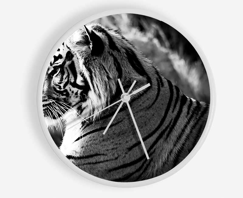 Tiger Resting Clock - Wallart-Direct UK