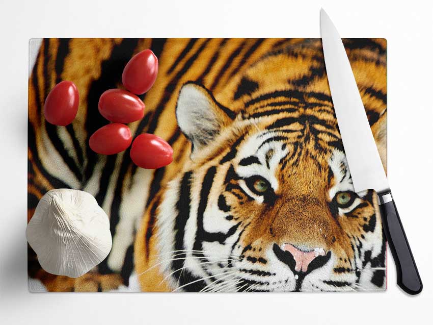 Tiger Snow Nose Glass Chopping Board