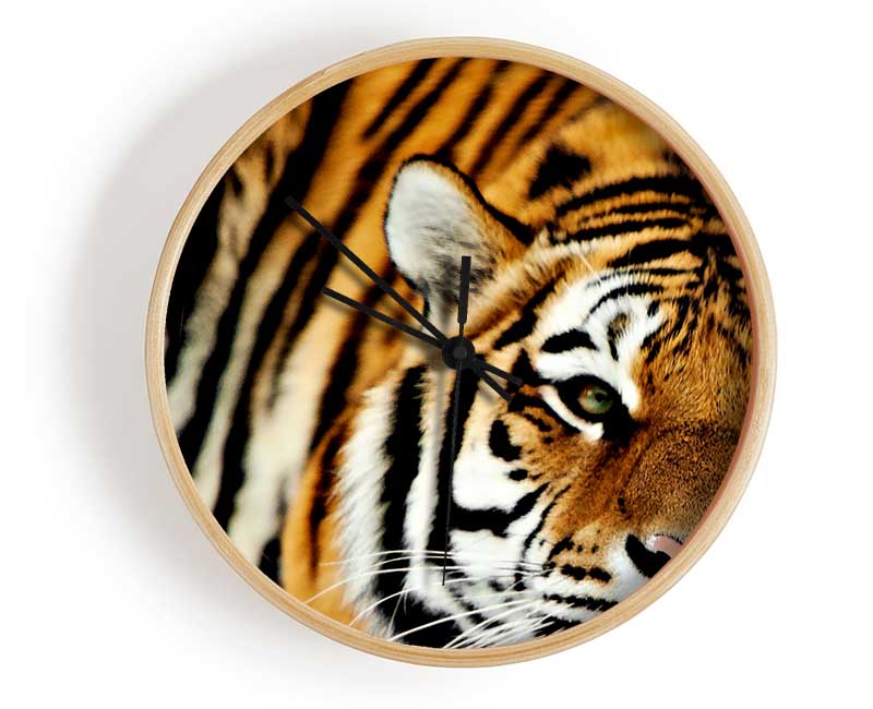 Tiger Snow Nose Clock - Wallart-Direct UK