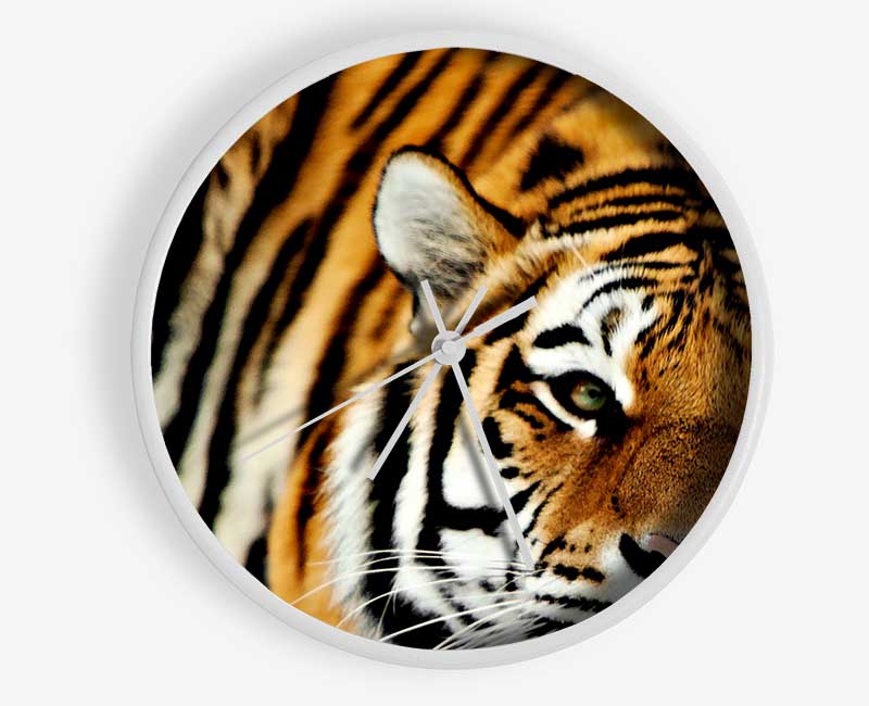 Tiger Snow Nose Clock - Wallart-Direct UK