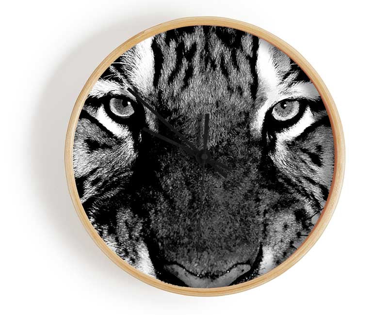 Tiger Stare B n W Clock - Wallart-Direct UK