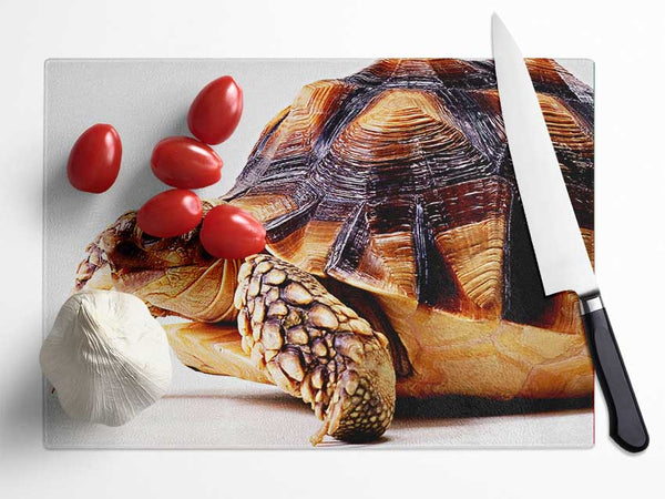 Tortuous Walk Glass Chopping Board