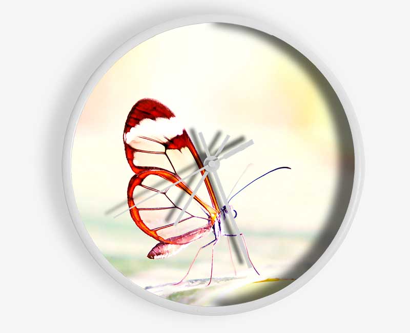 Transparent Winged Butterfly Clock - Wallart-Direct UK