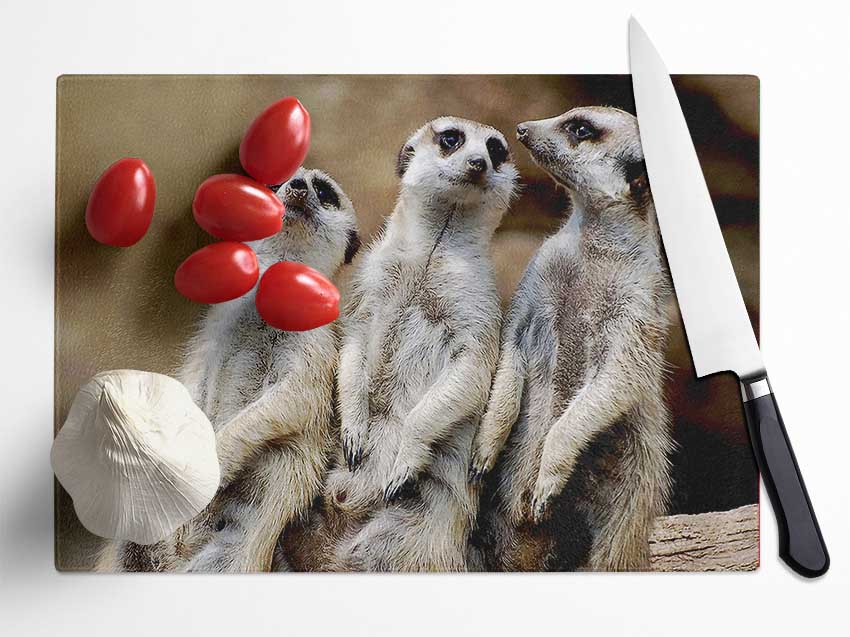 Trio Of Leaning Meerkats Glass Chopping Board