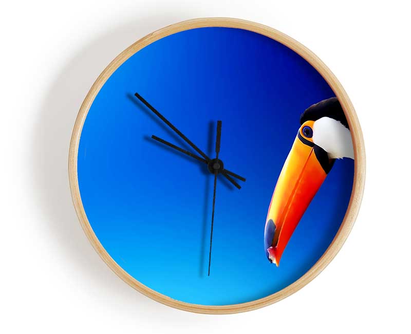 Tucan Beauty Clock - Wallart-Direct UK