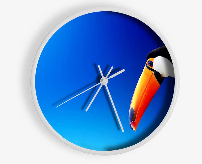 Tucan Beauty Clock - Wallart-Direct UK