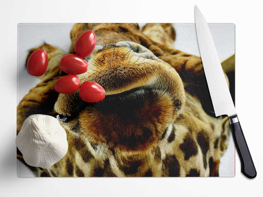 What Are You Looking At Giraffe Glass Chopping Board