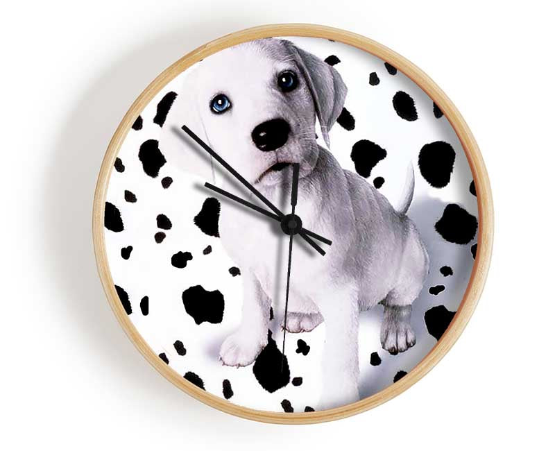 Wheres My Spots Dalmatian Clock - Wallart-Direct UK