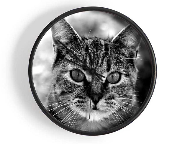 Whiskers Clock - Wallart-Direct UK