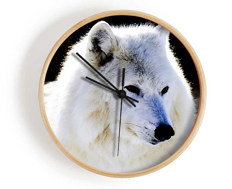 White Arctic Wolf Clock - Wallart-Direct UK