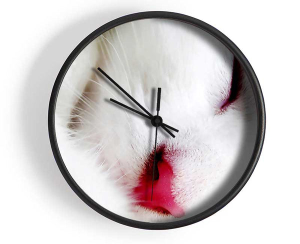 White Fluffy Cat Clock - Wallart-Direct UK