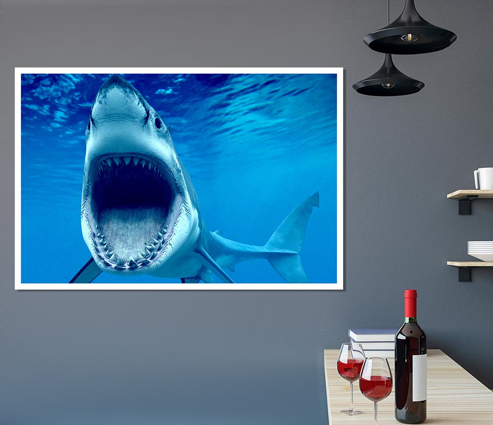 White Shark Teeth Print Poster Wall Art