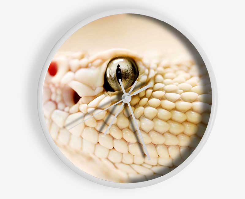 White Snake Clock - Wallart-Direct UK