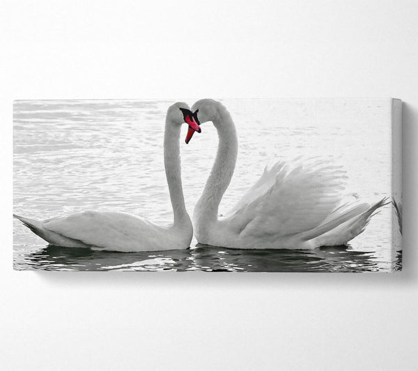 White Swans 2