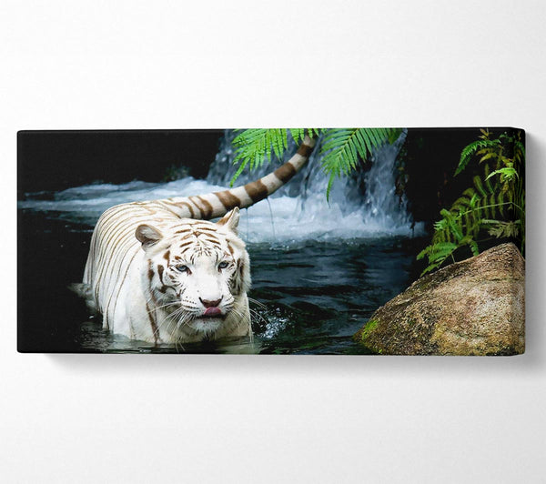 White Tiger Beautiful