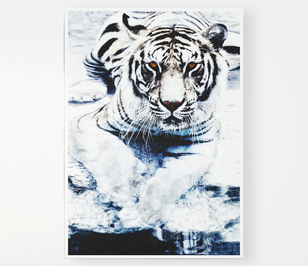 White Tiger Stare Print Poster Wall Art