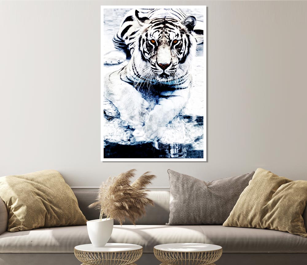 White Tiger Stare Print Poster Wall Art