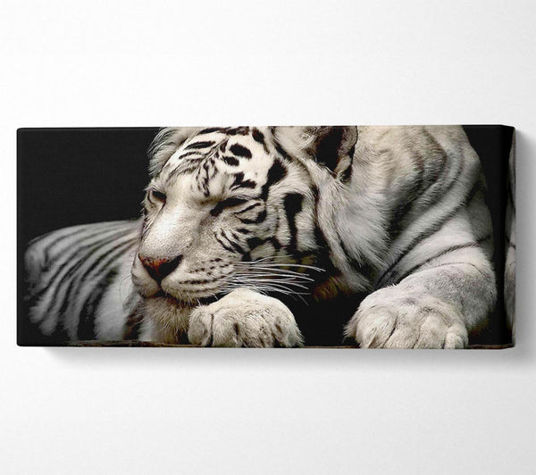 White Tiger Rest