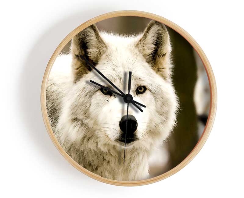 White Wolf Clock - Wallart-Direct UK