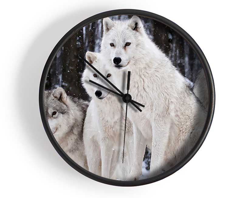 White Wolf Pack Clock - Wallart-Direct UK