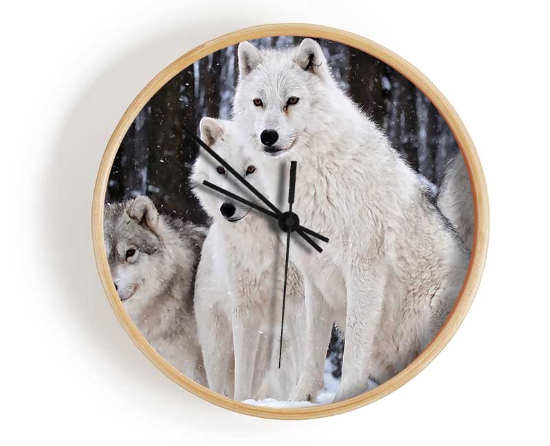 White Wolf Pack Clock - Wallart-Direct UK