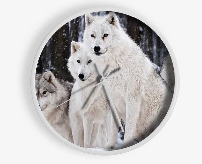 White Wolf Pack Clock - Wallart-Direct UK