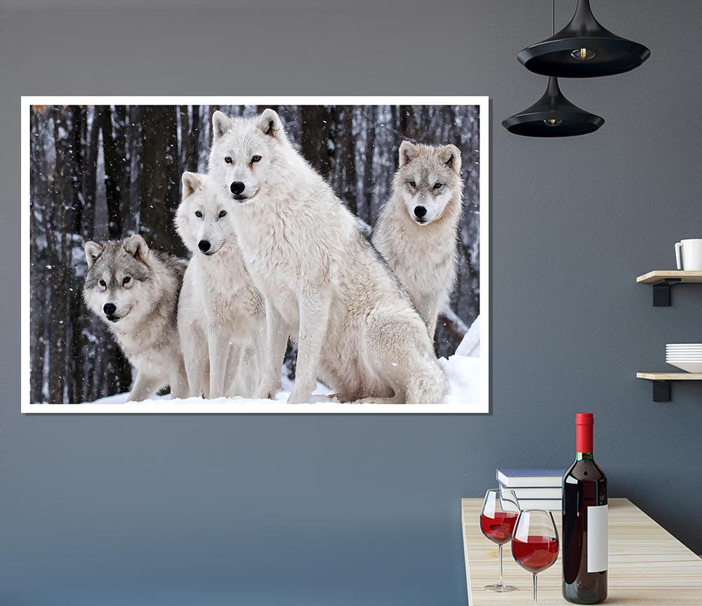 White Wolf Pack Print Poster Wall Art