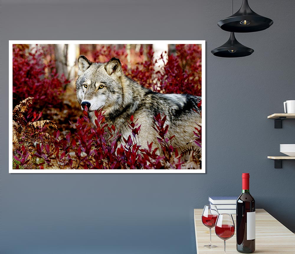 Wild Wolf Print Poster Wall Art