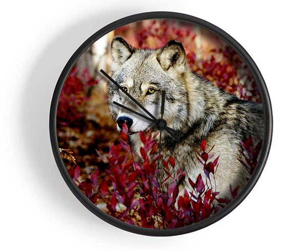 Wild Wolf Clock - Wallart-Direct UK