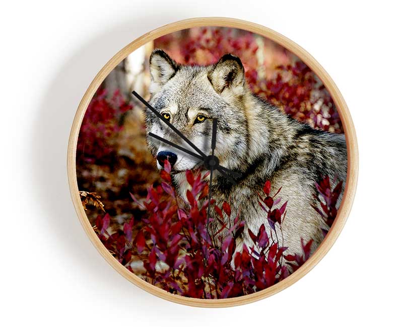 Wild Wolf Clock - Wallart-Direct UK