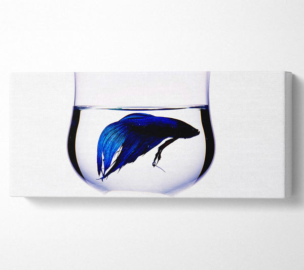 Wineglass Fish