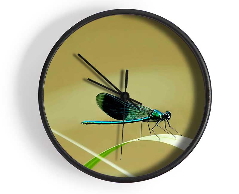 Wings Of Beauty Clock - Wallart-Direct UK