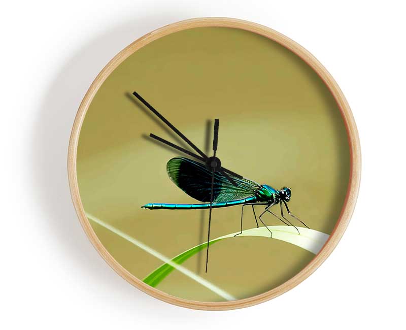 Wings Of Beauty Clock - Wallart-Direct UK