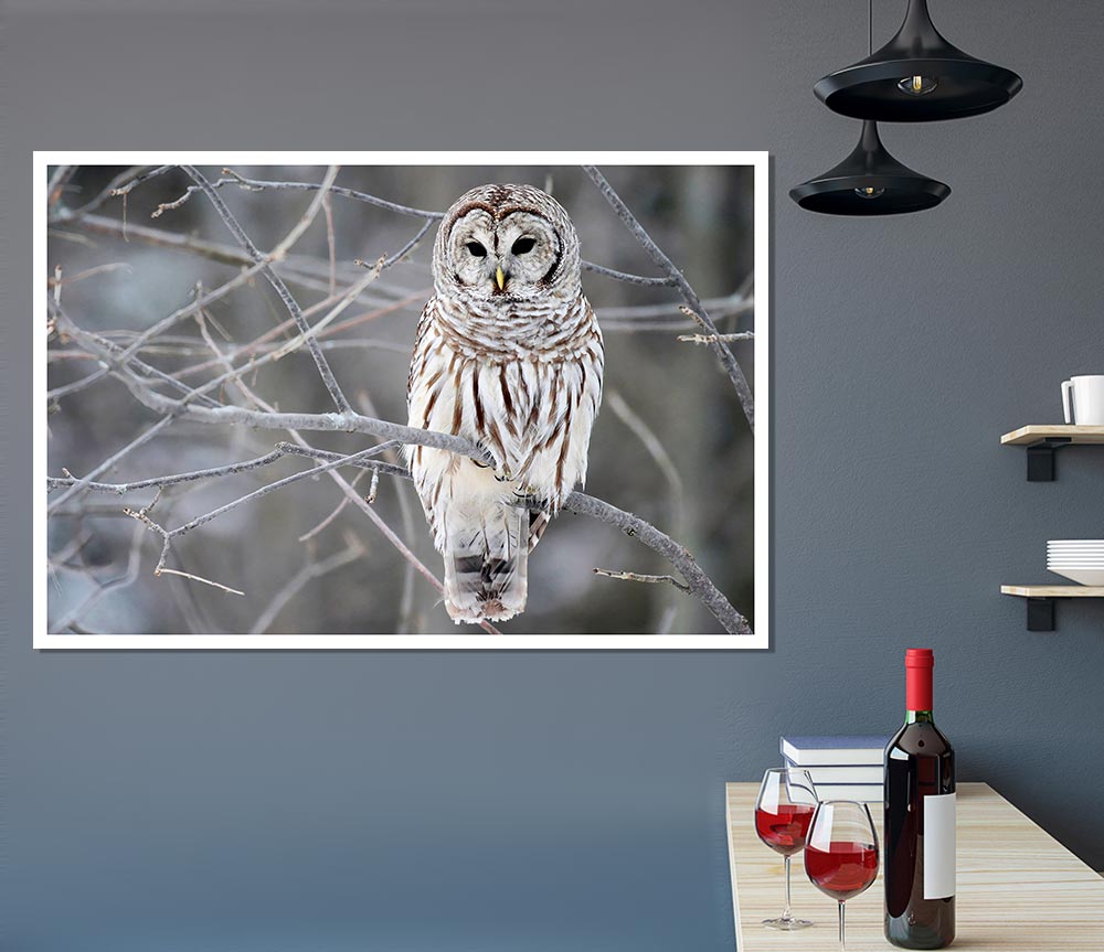 Winter Owl Print Poster Wall Art