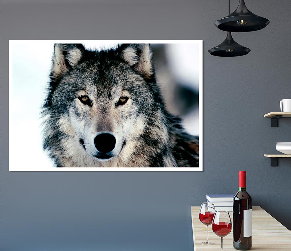 Wolf Face Print Poster Wall Art