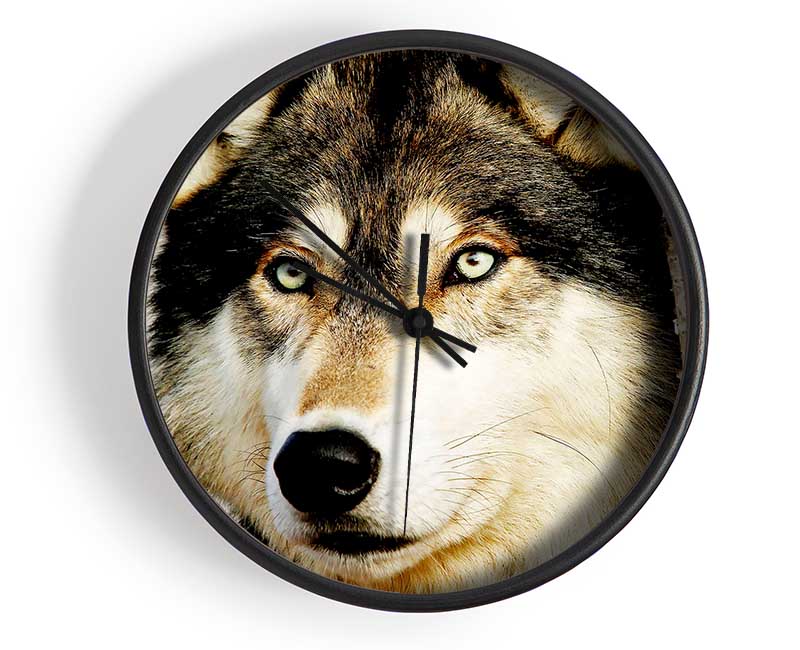 Wolf Glare Clock - Wallart-Direct UK