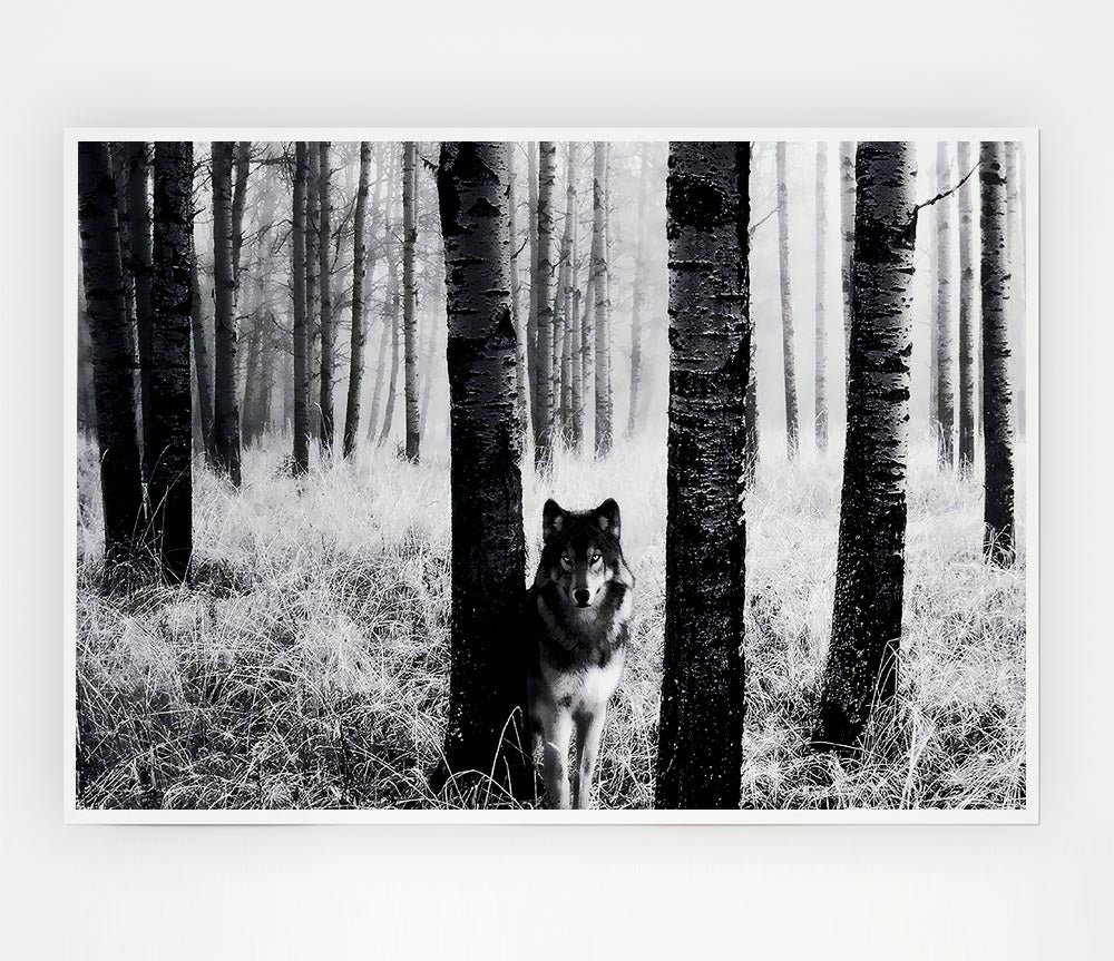 Wolf In The Forest Print Poster Wall Art