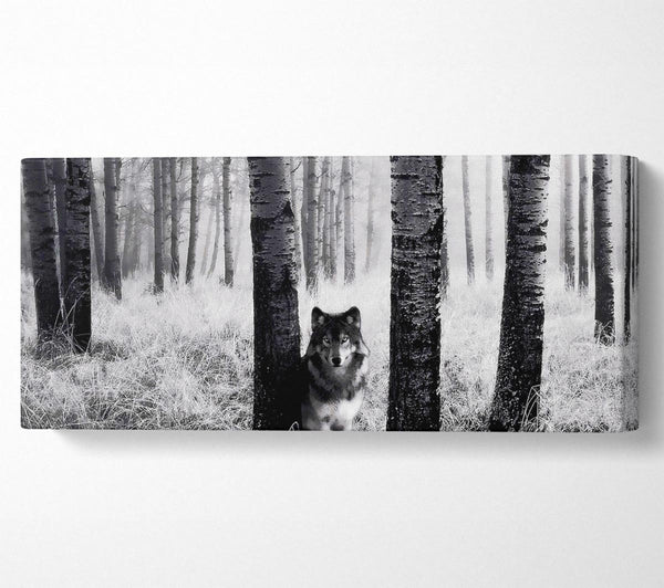 Wolf In The Forest