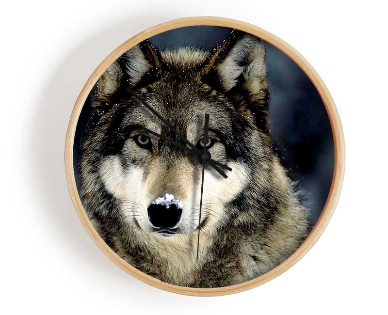 Wolf Snow Nose Clock - Wallart-Direct UK