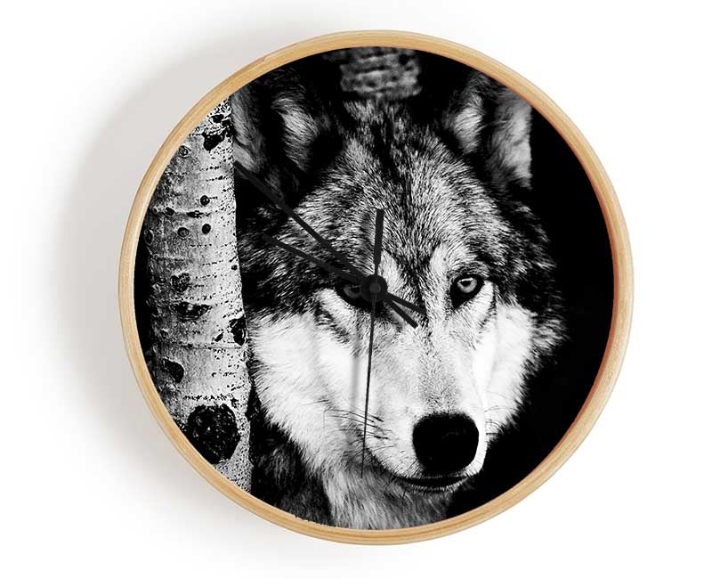 Wolf Stare Clock - Wallart-Direct UK