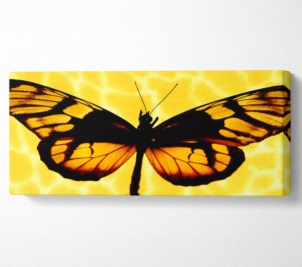 Yellow Butterfly Wings