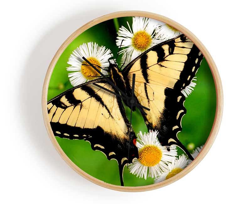 Yellow Butterfly Clock - Wallart-Direct UK