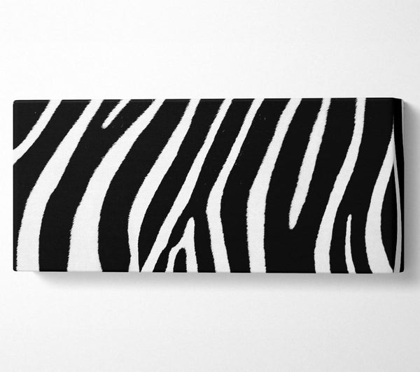 Zebra Pattern B n W