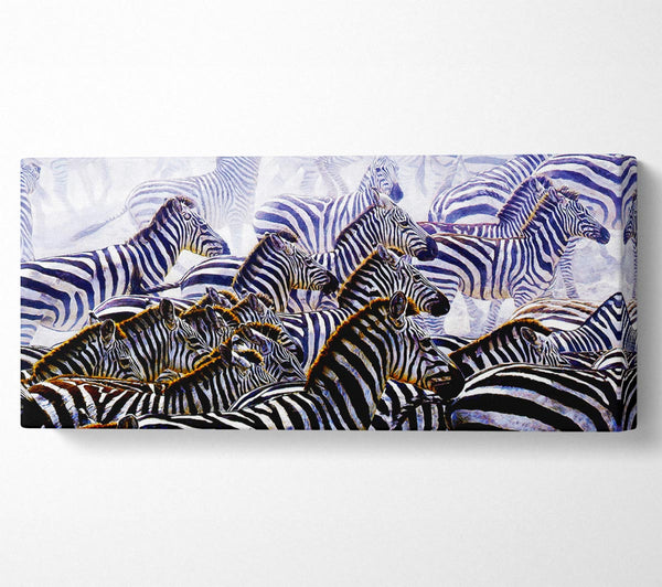 Zebra Stampede