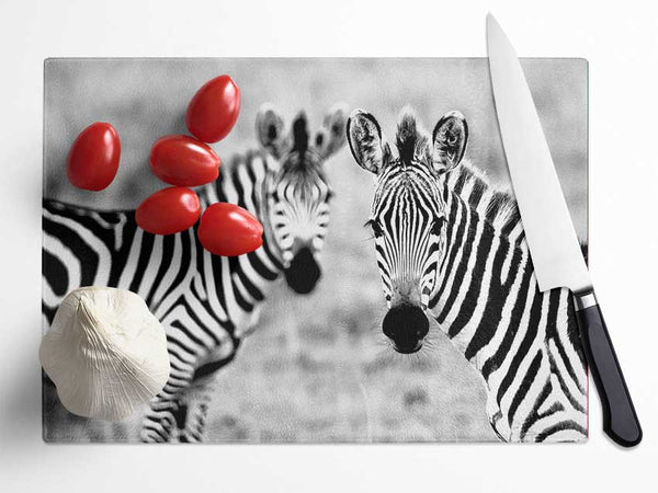 Zebra Twins Glass Chopping Board